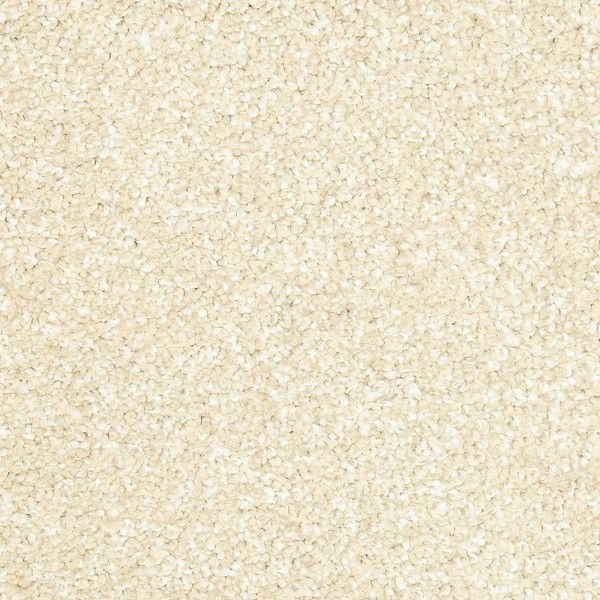 Natural Refinement I Sand Dollar